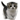 gato gato