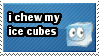 I chew ice cubes! I chew ice cubes!
